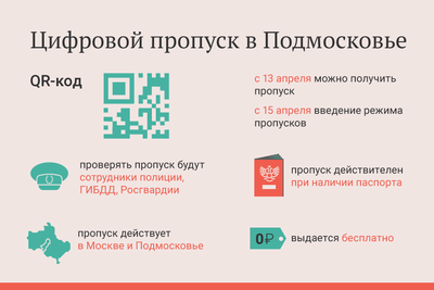 Приложение по проверке выданного пропуска запустили в Москве