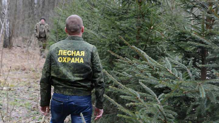 Штраф за нарушение режима самоизоляции теперь можно получить и в лесу!