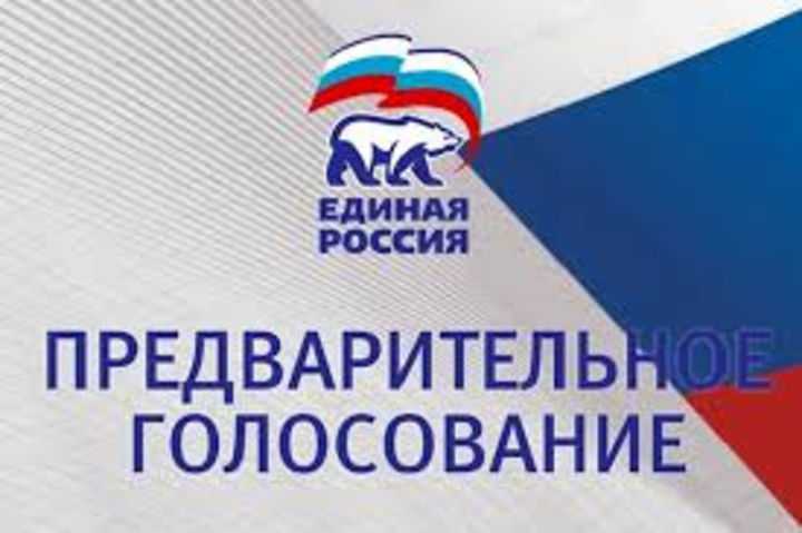 В «Единой России» стартовало предварительное голосование
