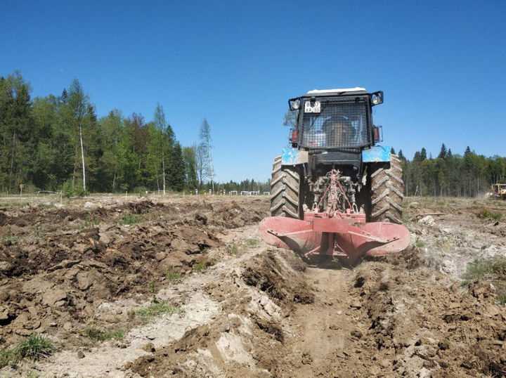 В восьми лесничествах Московской области завершены работы по подготовке почвы