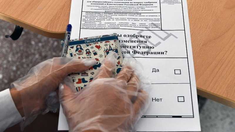 Более 110 тысяч жителей Подмосковья хотят проголосовать по поправкам в Конституцию на дому