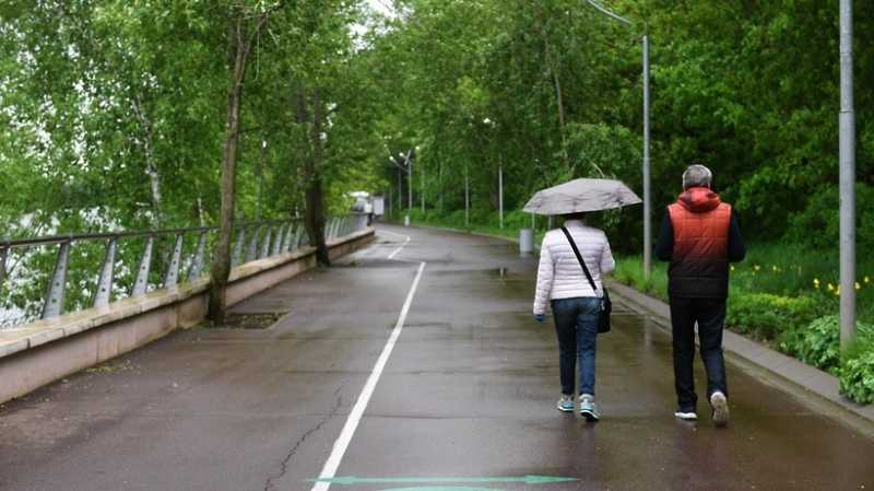 До 17 градусов тепла и дожди ожидаются в Московском регионе во вторник