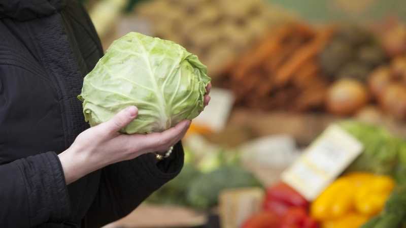 Цены на овощи в Подмосковье продолжат снижаться