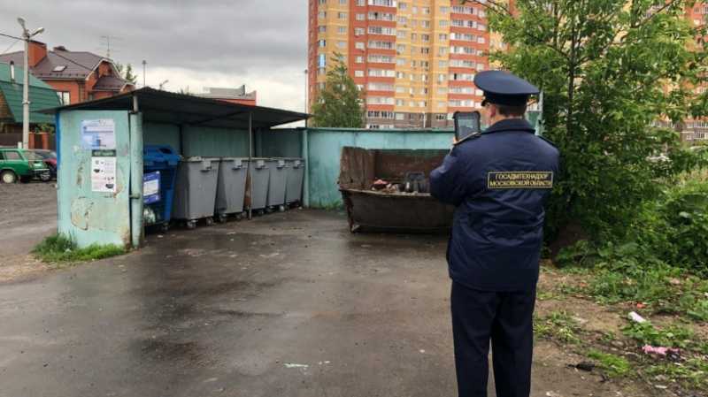 Госадмтехнадзор: За неделю в Дмитровском городском округе устранено 27 нарушений чистоты и порядка