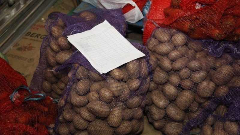 400 одиноких жителей Дмитровского округа бесплатно получили картофель, капусту и морковь в качестве материальной поддержки