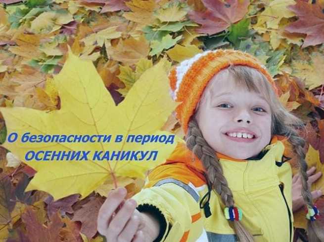 Впереди каникулы: ГКУ МО «Мособлпожспас» напоминает о правилах пожарной безопасности