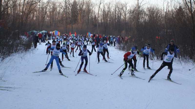 Чемпион мира по лыжным гонкам назвал трассу в парке Одинцовского округа самой живописной