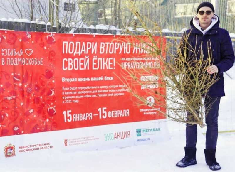 За первые 10 дней экологической акции «Подари своей ёлке вторую жизнь» дмитровчане сдали на переработку более 100 новогодних деревьев
