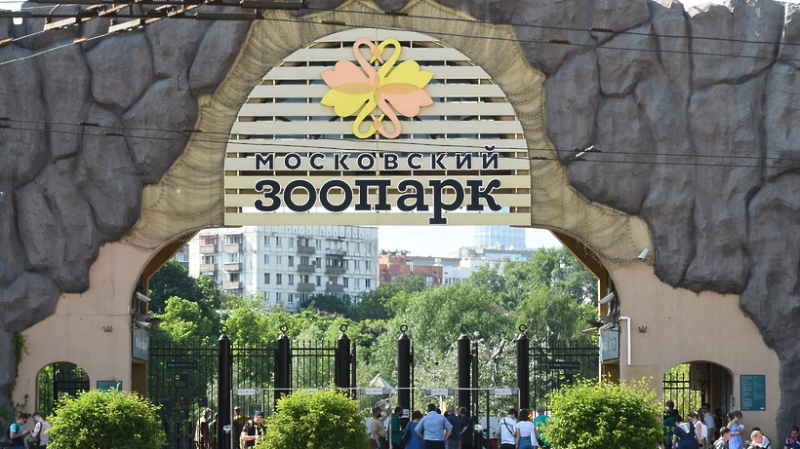 Московский зоопарк откроет внутренний павильон панд в понедельник после ремонта